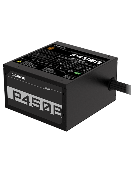 Gigabyte P450B maitinimo blokas – vaizdas kampu (5)