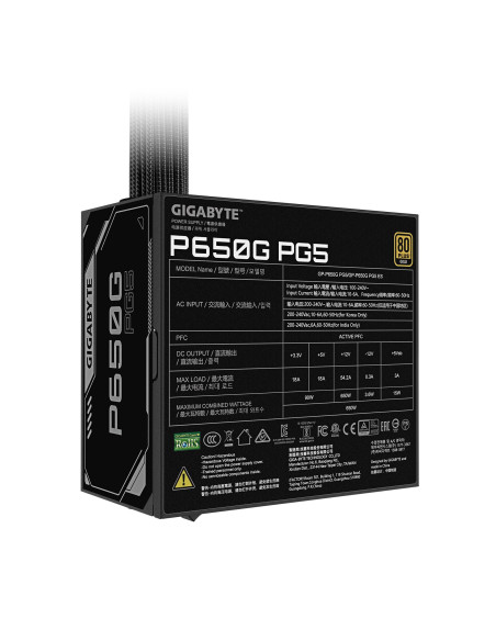 GIGABYTE P650G PG5 650W maitinimo blokas – techninių duomenų etiketė