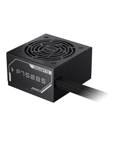 GIGABYTE P750BS 750W maitinimo blokas – šoninis korpuso vaizdas