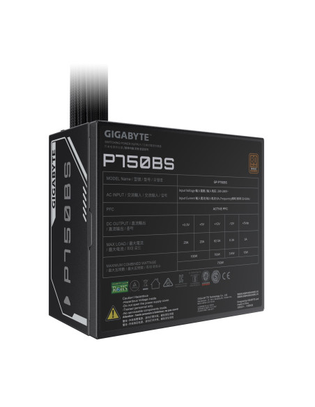 GIGABYTE P750BS 750W maitinimo blokas – techninių duomenų etiketė