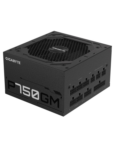 GIGABYTE P750GM 750W maitinimo blokas – šoninis korpuso vaizdas