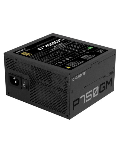 GIGABYTE P750GM 750W maitinimo blokas – elektros įvadas ir ventiliatorius