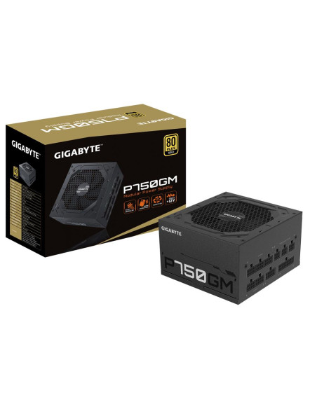 GIGABYTE P750GM 750W maitinimo blokas – maitinimo blokas ir pakuotė